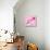 Lily Pink II-Joseph Eta-Stretched Canvas displayed on a wall