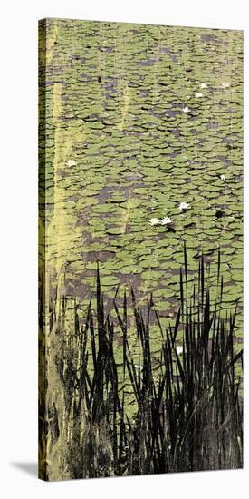 Lily Pond I-Erin Clark-Stretched Canvas