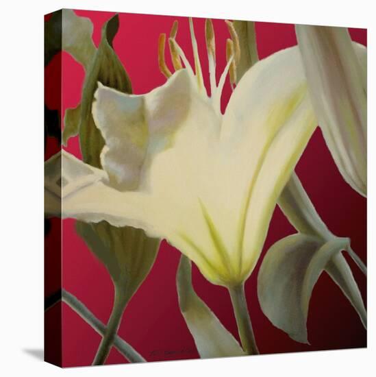 Lily Red-Jan McLaughlin-Stretched Canvas