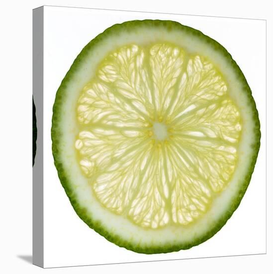 Lime Slice-Steve Gadomski-Premier Image Canvas