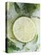 Limes in Block of Ice-Dieter Heinemann-Premier Image Canvas