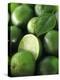Limes, Several Whole and One Halved-Vladimir Shulevsky-Premier Image Canvas