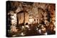 Limestone Cavern Formations-Four Oaks-Premier Image Canvas