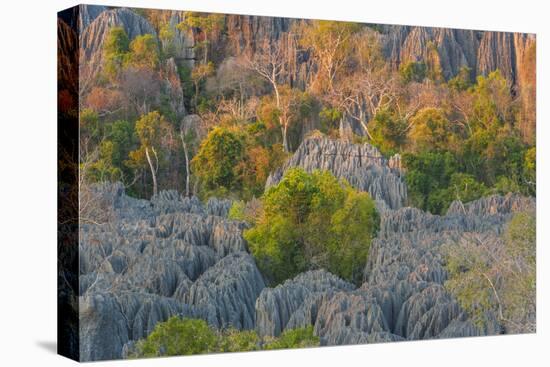 Limestone formations, Tsingy de Bemaraha Strict Nature Reserve, Madagascar-Art Wolfe-Premier Image Canvas