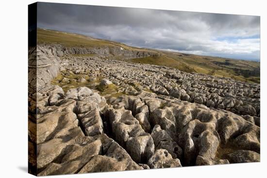 Limestone Pavement, Yorkshire-Bob Gibbons-Premier Image Canvas