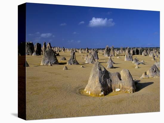 Limestone Pillars in the Pinnacles Desert, Nambung National Park, Western Australia, Australia-Steve & Ann Toon-Premier Image Canvas