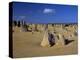 Limestone Pillars in the Pinnacles Desert, Nambung National Park, Western Australia, Australia-Steve & Ann Toon-Premier Image Canvas