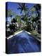 Lincoln Road, South Beach, Miami, Florida, USA-Robin Hill-Premier Image Canvas