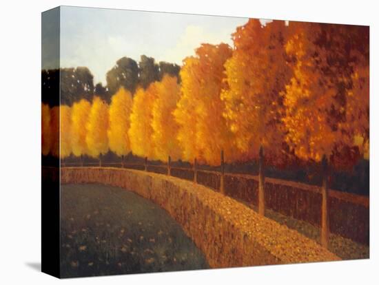 Linden Trees in Autumn-Max Hayslette-Premier Image Canvas