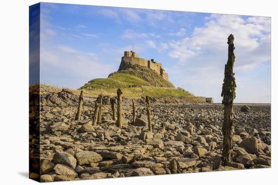 Lindisfarne Castle, Holy Island, Northumberland, England, United Kingdom, Europe-Gary Cook-Premier Image Canvas