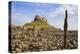 Lindisfarne Castle, Holy Island, Northumberland, England, United Kingdom, Europe-Gary Cook-Premier Image Canvas