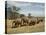 Line of African Elephants (Loxodonta Africana), Samburu National Reserve, Kenya, East Africa-James Hager-Premier Image Canvas