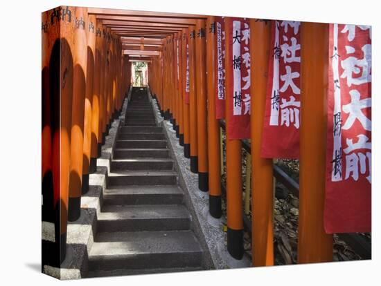 Line of torii gates at Hie Shrine-Jonathan Hicks-Premier Image Canvas