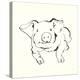 Line Pig II-Chris Paschke-Stretched Canvas