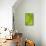 Line Study Green-Charles McMullen-Stretched Canvas displayed on a wall