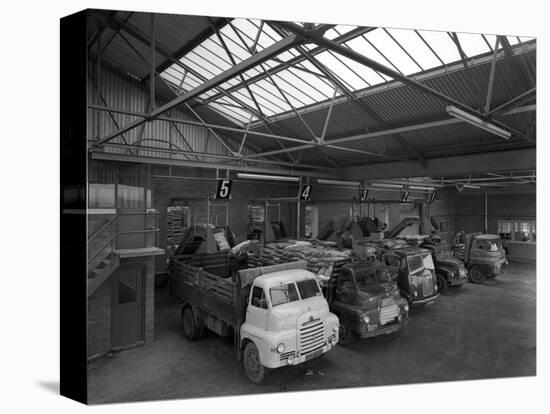 Line Up of 1950S Lorries at Spillers Animal Foods, Gainsborough, Lincolnshire, 1961-Michael Walters-Premier Image Canvas