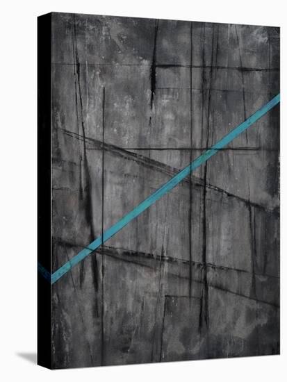 Linear Heteroclite III-Joshua Schicker-Premier Image Canvas