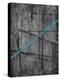 Linear Heteroclite III-Joshua Schicker-Premier Image Canvas