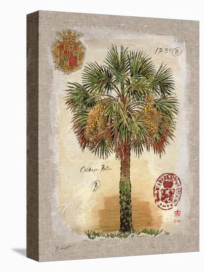 Linen Cabbage Palm Tree-Chad Barrett-Stretched Canvas