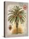 Linen Date Palm Tree-Chad Barrett-Stretched Canvas