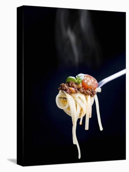 Linguine with a Minced Meat Sauce, Tomatoes and Basil on a Fork-Mark Vogel-Premier Image Canvas