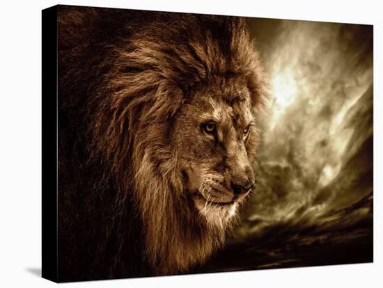 Lion Against Stormy Sky-NejroN Photo-Premier Image Canvas