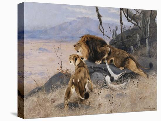 Lion and Lioness; Lowe Und Lowin-Wilhelm Kuhnert-Premier Image Canvas