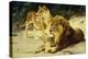 Lion and Lioness-Lowenparr-Wilhelm Kuhnert-Premier Image Canvas