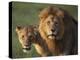 Lion and Lioness-DLILLC-Premier Image Canvas