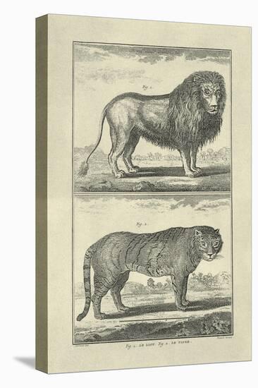 Lion and Tiger-Denis Diderot-Stretched Canvas