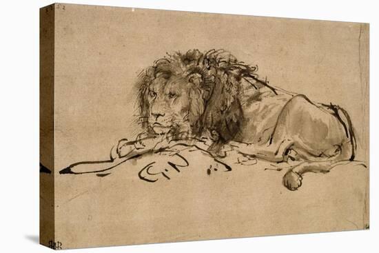 Lion au repos-Rembrandt van Rijn-Premier Image Canvas