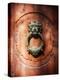 Lion Face Door Knocker in Florence-George Oze-Premier Image Canvas