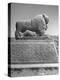 Lion in the Ruins of the Temple of Nebuchadnezzar in the Ruins of Babylon-Dmitri Kessel-Premier Image Canvas