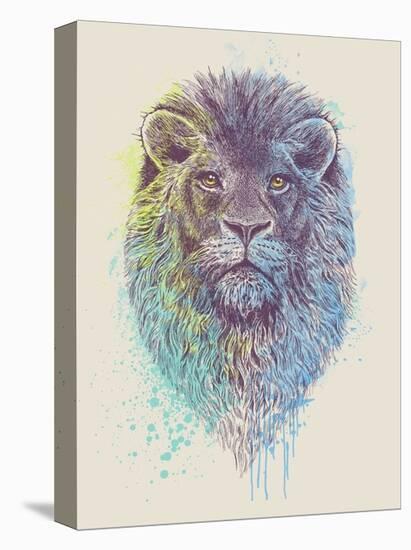 Lion King-Rachel Caldwell-Stretched Canvas