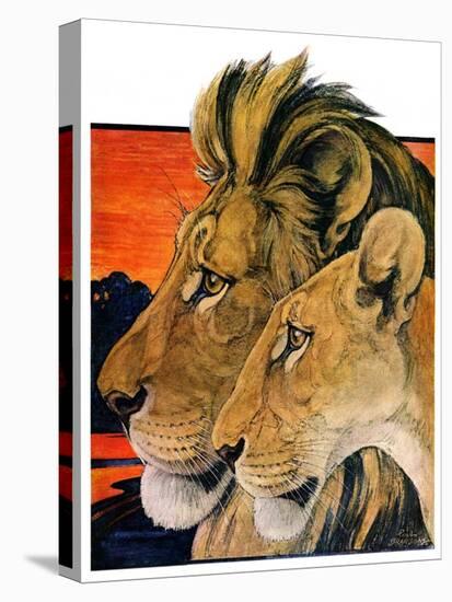 "Lion Pair,"April 27, 1929-Paul Bransom-Premier Image Canvas