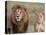 Lion Pair (Panthera Leo), Masai Mara National Reserve, Kenya, East Africa, Africa-Sergio Pitamitz-Premier Image Canvas