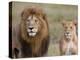 Lion Pair (Panthera Leo), Masai Mara National Reserve, Kenya, East Africa, Africa-Sergio Pitamitz-Premier Image Canvas