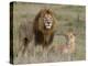 Lion Pair (Panthera Leo), Masai Mara National Reserve, Kenya, East Africa, Africa-Sergio Pitamitz-Premier Image Canvas