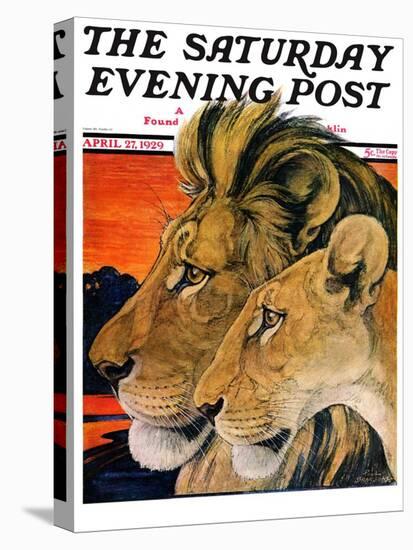 "Lion Pair," Saturday Evening Post Cover, April 27, 1929-Paul Bransom-Premier Image Canvas