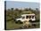 Lion (Panthera Leo) and Safari Vehicle, Masai Mara, Kenya, East Africa, Africa-Sergio Pitamitz-Premier Image Canvas