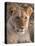 Lion (Panthera Leo), Masai Mara, Kenya, East Africa, Africa-Sergio Pitamitz-Premier Image Canvas