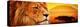 Lion Portrait on Savanna Landscape Background and Mount Kilimanjaro at Sunset. Panoramic Version-Michal Bednarek-Premier Image Canvas