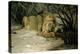 Lion Reclining in a Landscape-Wilhelm Kuhnert-Premier Image Canvas