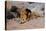 Lion Reclining in a Rocky Landscape-Wilhelm Kuhnert-Premier Image Canvas