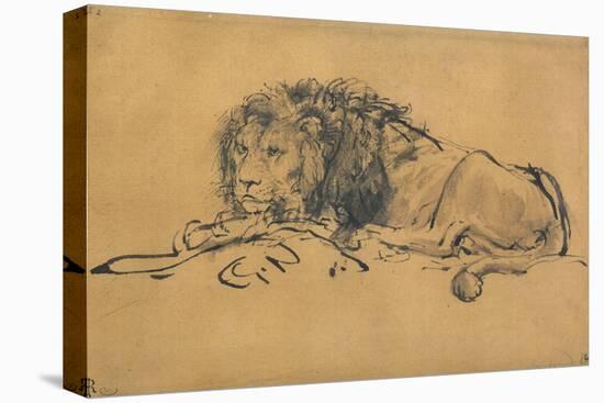 Lion Resting, Turned to the Left, C1650-Rembrandt van Rijn-Premier Image Canvas