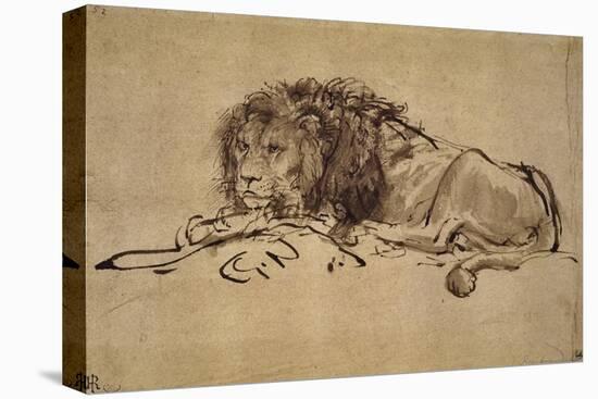 Lion Resting, Turned to the Left-Rembrandt van Rijn-Premier Image Canvas