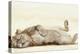 Lion roll, 2012,-Francesca Sanders-Premier Image Canvas