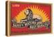 Lion Safety Matches Best Quality-null-Stretched Canvas