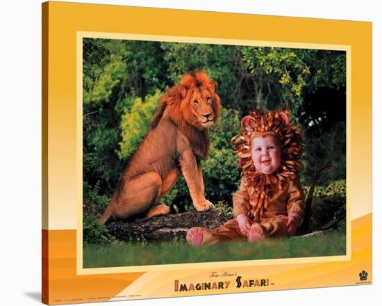 Lion-Tom Arma-Stretched Canvas