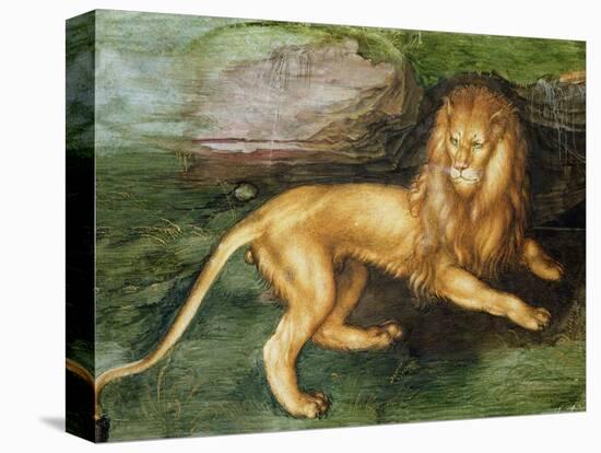 Lion-Albrecht Dürer-Premier Image Canvas